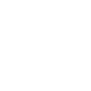 SirSquawkins's emblem