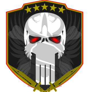 3Punisher's emblem
