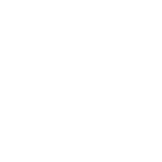 reemode's emblem