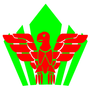 daniloguimaraes1's emblem