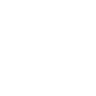 HeroicFever672's emblem