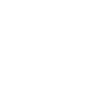 Strelok_190_RUS's emblem
