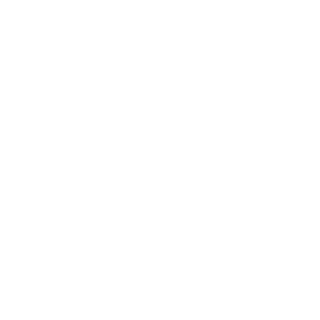 Bool_Revenant's emblem