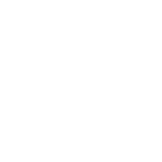 CASTORICE24's emblem