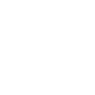 Egor_2010-pig's emblem
