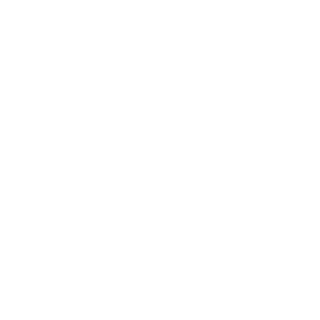 VietnametZ's emblem