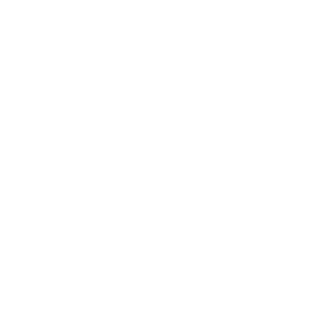 WorldFool's emblem