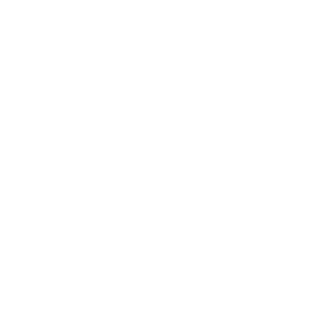 wayerclarion's emblem