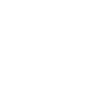 BosinZ's emblem