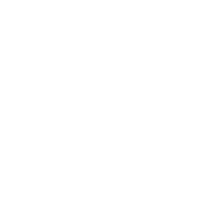daddymeister's emblem