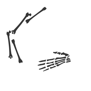 LBSR71's emblem