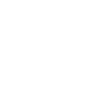 5IV3_99's emblem