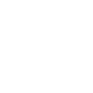 SkyNet_cr's emblem