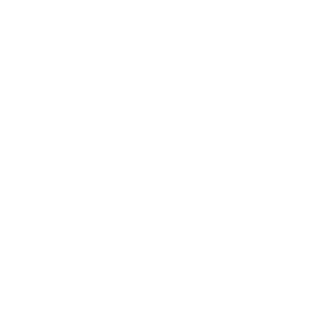 buddiept's emblem