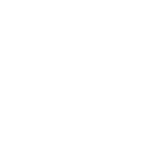 VizauL's emblem