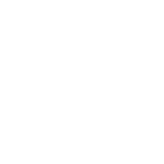 Gabrielfv6's emblem