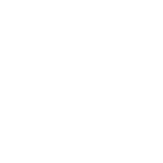 Fleischwanze2222's emblem