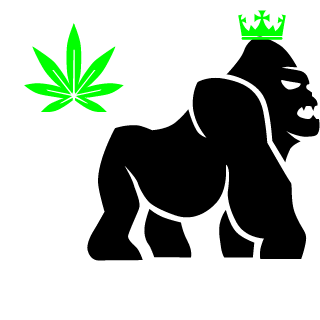 daveyboy7hi's emblem