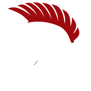 Voodoo V353669's emblem