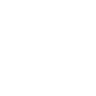 MshRaider's emblem