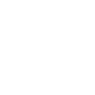 TranLoc13's emblem