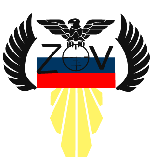 skychannel1's emblem