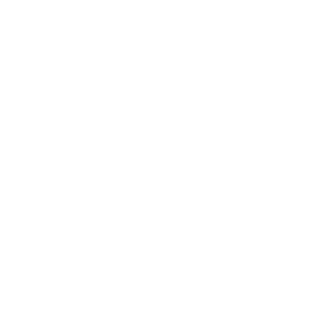 -SN4K3-IT's emblem