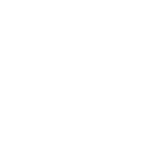 bwp17's emblem