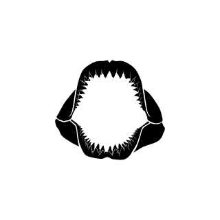 POLOKO189's emblem