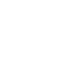 P4ulote's emblem