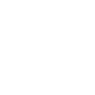 Falcon-EVGN21's emblem