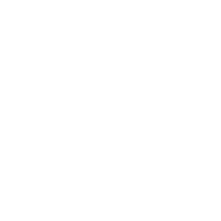 libellule_ruse's emblem