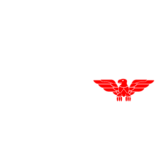Ravola2002's emblem
