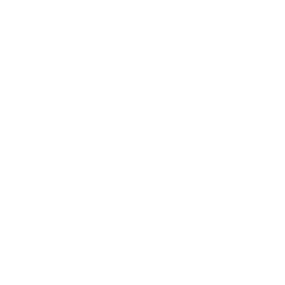 Shenobi's emblem