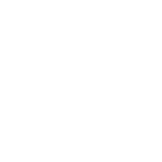DH55's emblem