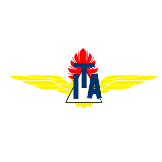 DinoDePatinete's emblem