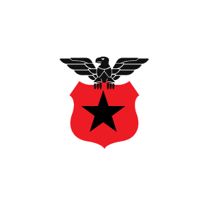 12313679's emblem