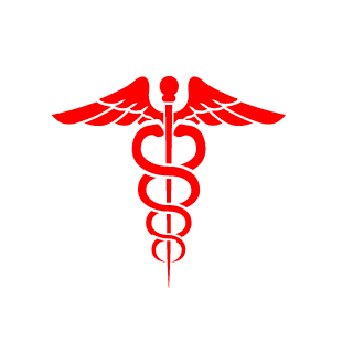 TwoFatDarts's emblem