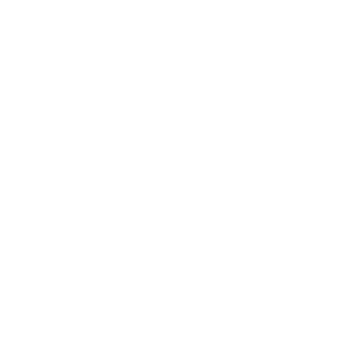 4R4V4N's emblem