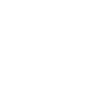 0110100001110011's emblem
