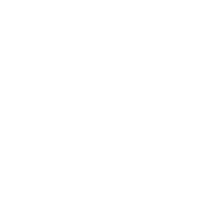 Wildcho1's emblem