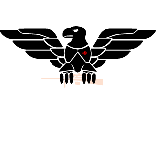 -f0kus42ru-'s emblem