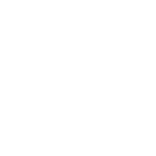 BRANKITOELP's emblem