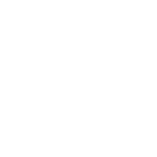 terrorfalk's emblem