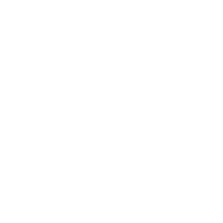 Hi_Fructose-T2's emblem