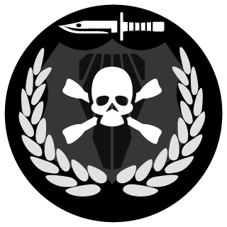 Play4Chaos94's emblem