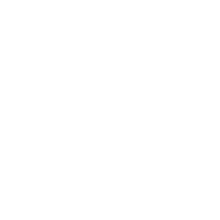 N1F-tanzhigang's emblem
