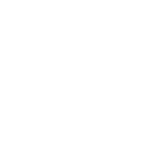 Thinyr's emblem