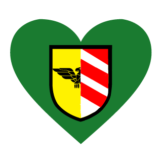 FelgasBebop's emblem