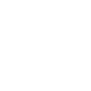 Topscout's emblem